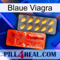 Blaue Viagra new01